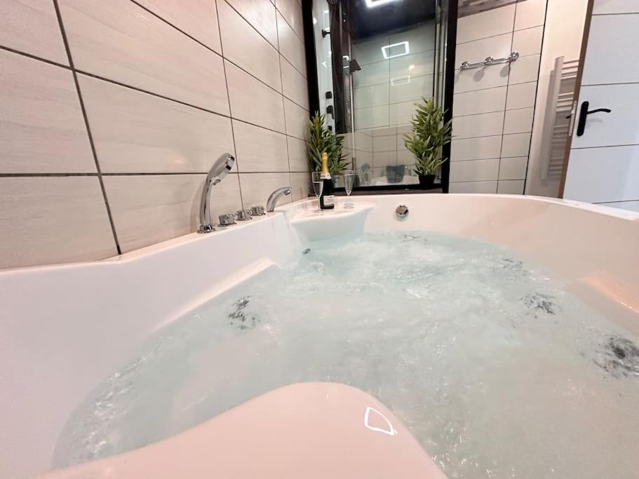 E Servagnat T3 Luxe Avec Sauna Jacuzzi Et Hammam Épernay Exterior foto